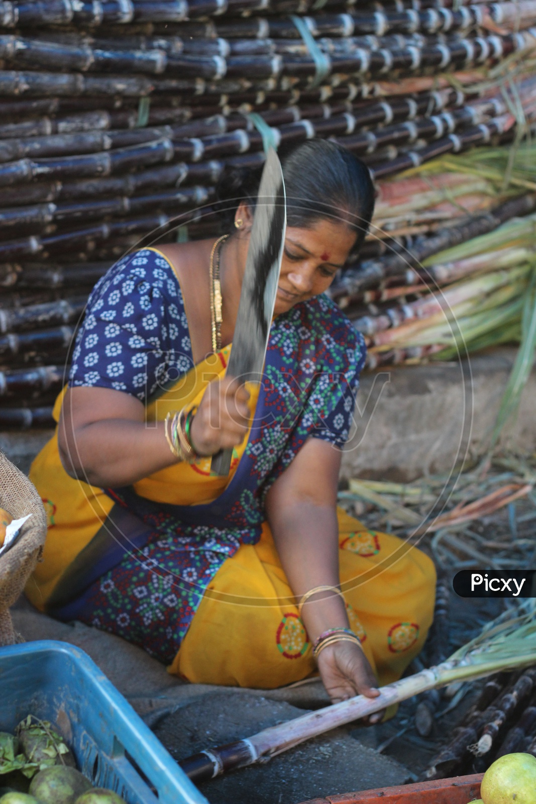 Woman chopping Sugar canes at Vegetables Market
