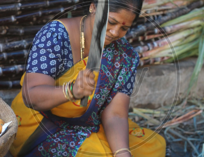 Woman chopping Sugar canes at Vegetables Market