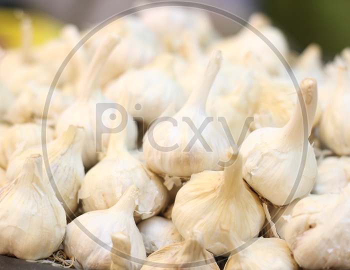 Garlic at Vegetable Market