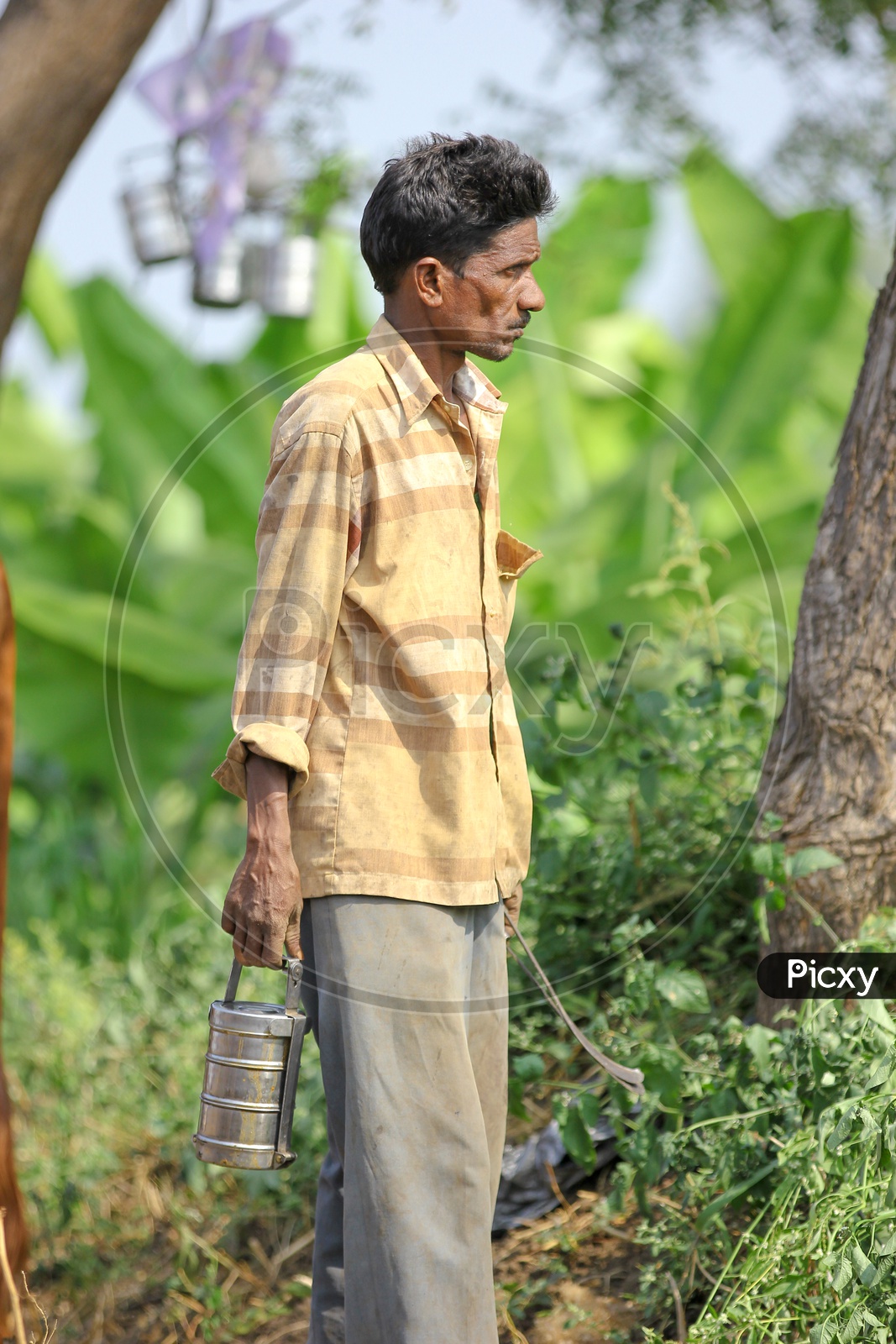 Indian Farmers With  lunch Boxes in Farming Fields