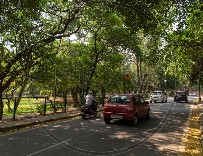 Sri Chamarajendra Park- CUBBON PARK, BANGALORE, KARNATAKA.