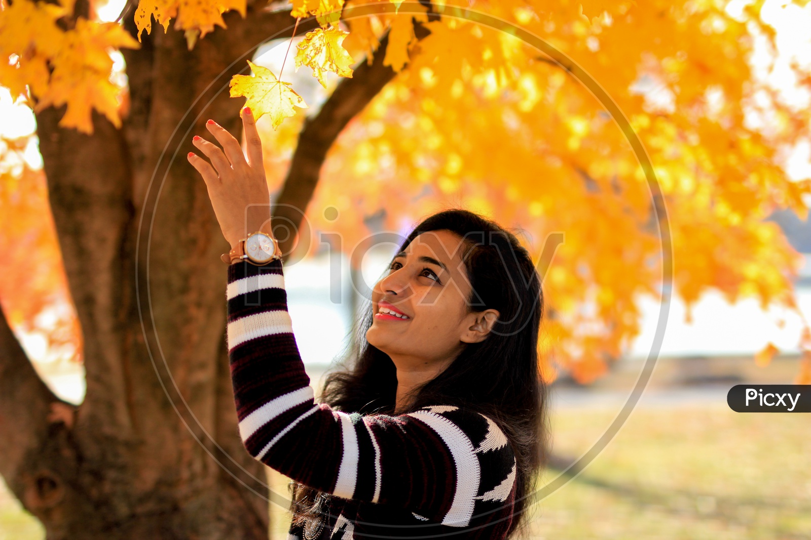 Female model with fall colors in the background