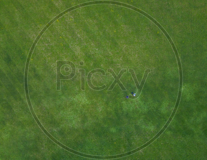 Aerial View of Parks in Albany City