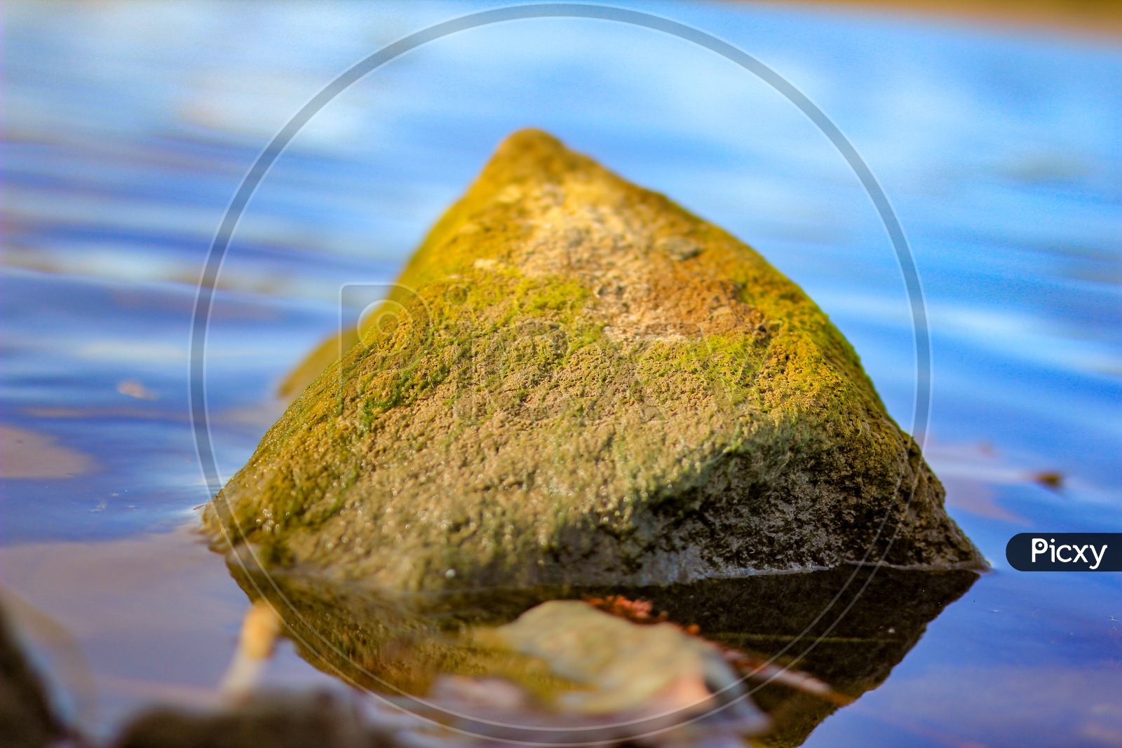 Rock in a pond