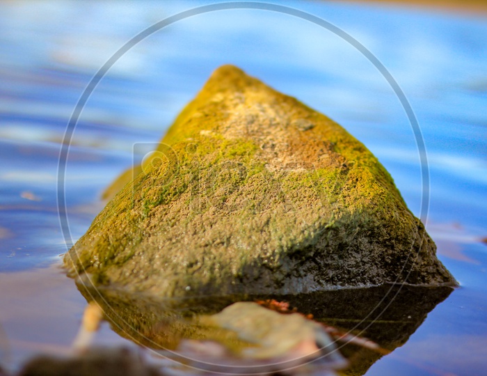 Rock in a pond