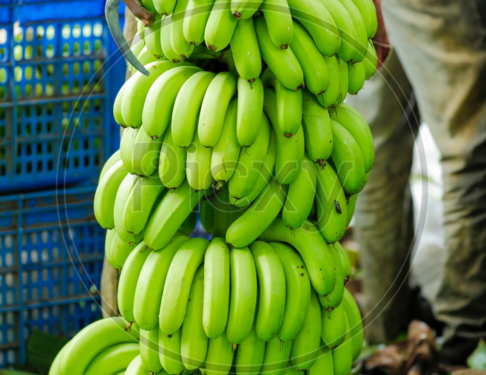 Bananas in Basket
