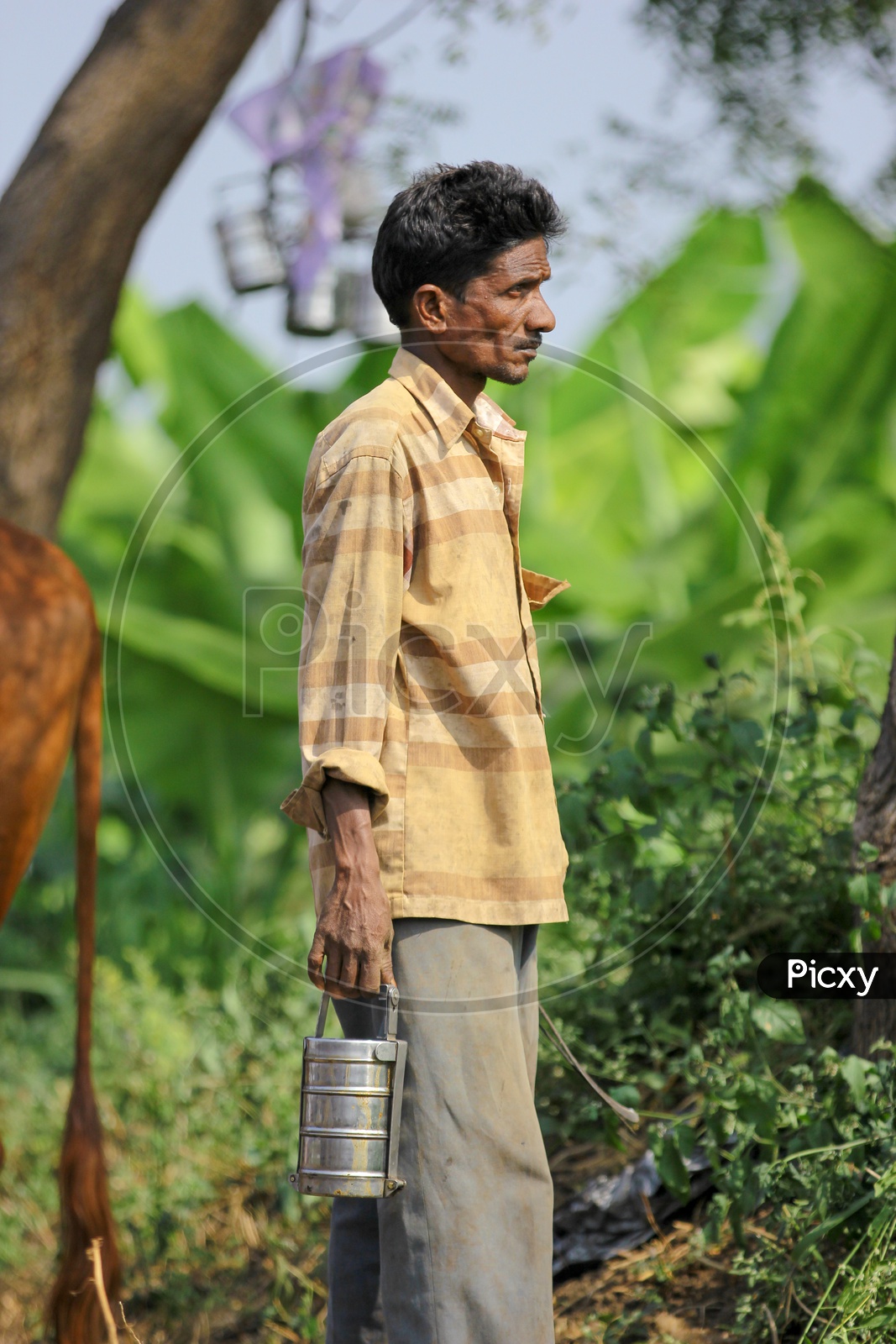 Indian Farmers With  lunch Boxes in Farming Fields