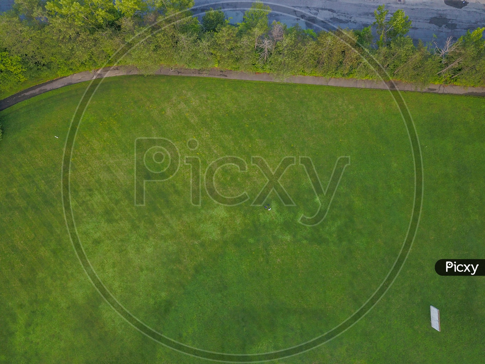 Aerial View of Parks in Albany City