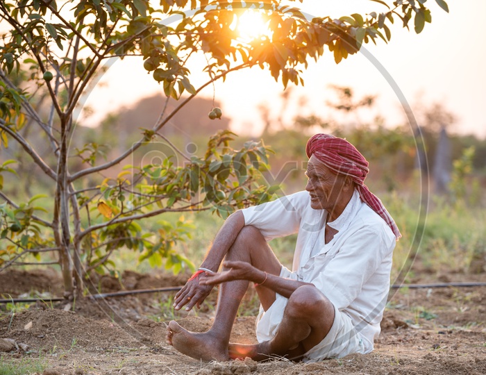 An Old Man In Indian Village Sitting in  His Agricultural Land