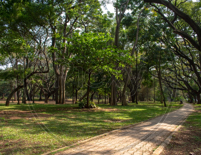 Sri Chamarajendra Park- CUBBON PARK, BANGALORE, KARNATAKA.
