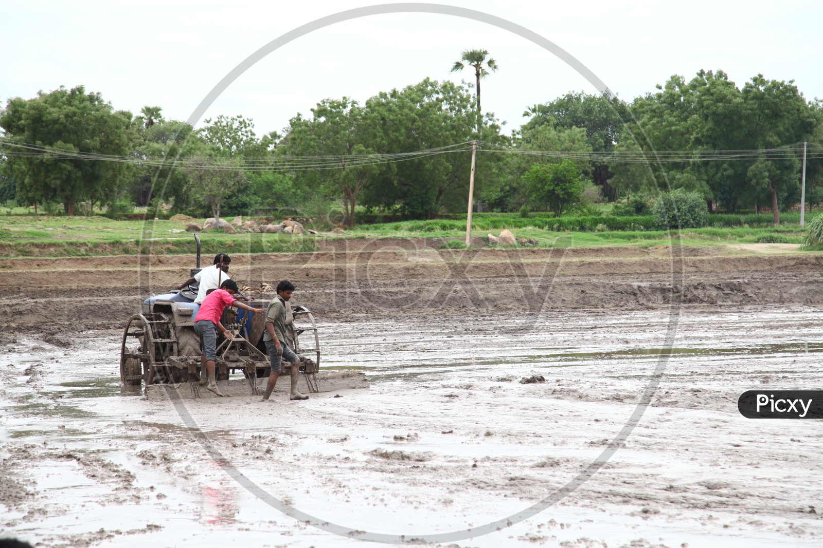 Indian man Working in   an Agricultural Fields  Ploughing With Tractor