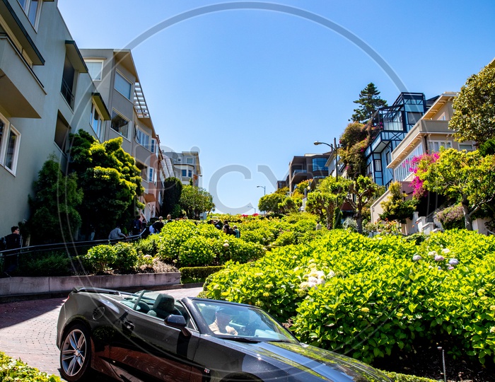 A Car Parked on a Road Side Of a Hill Top Villas In San Francisco