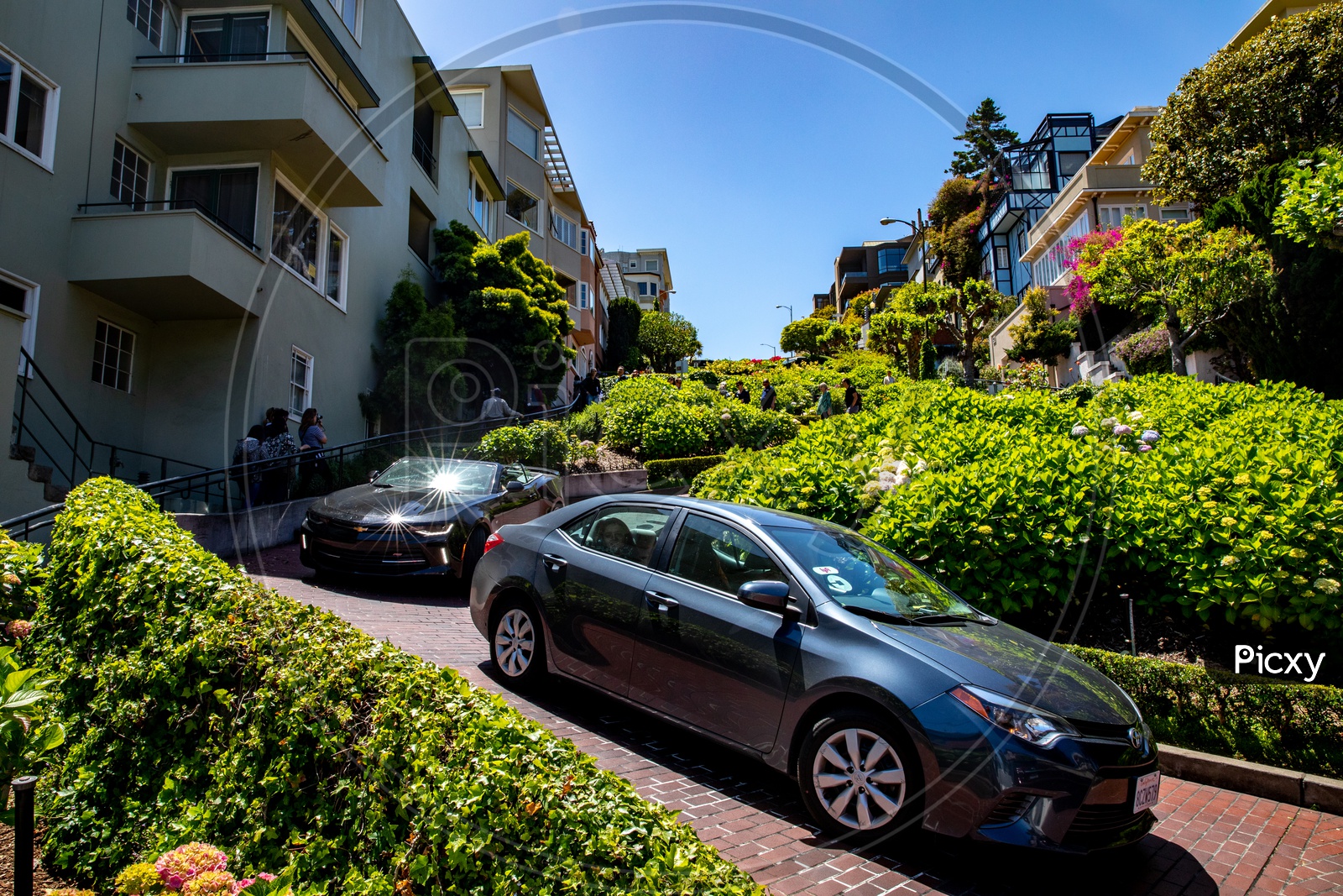 Cars on the crooked section of Lombard Street, San Francisco, CA, USA