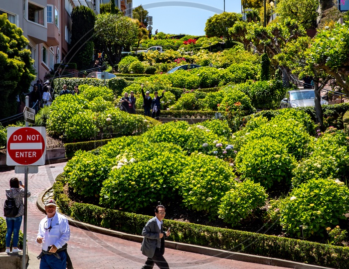 The crooked section of Lombard Street, San Francisco, CA, USA