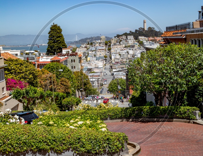 Hill Area in San Francisco