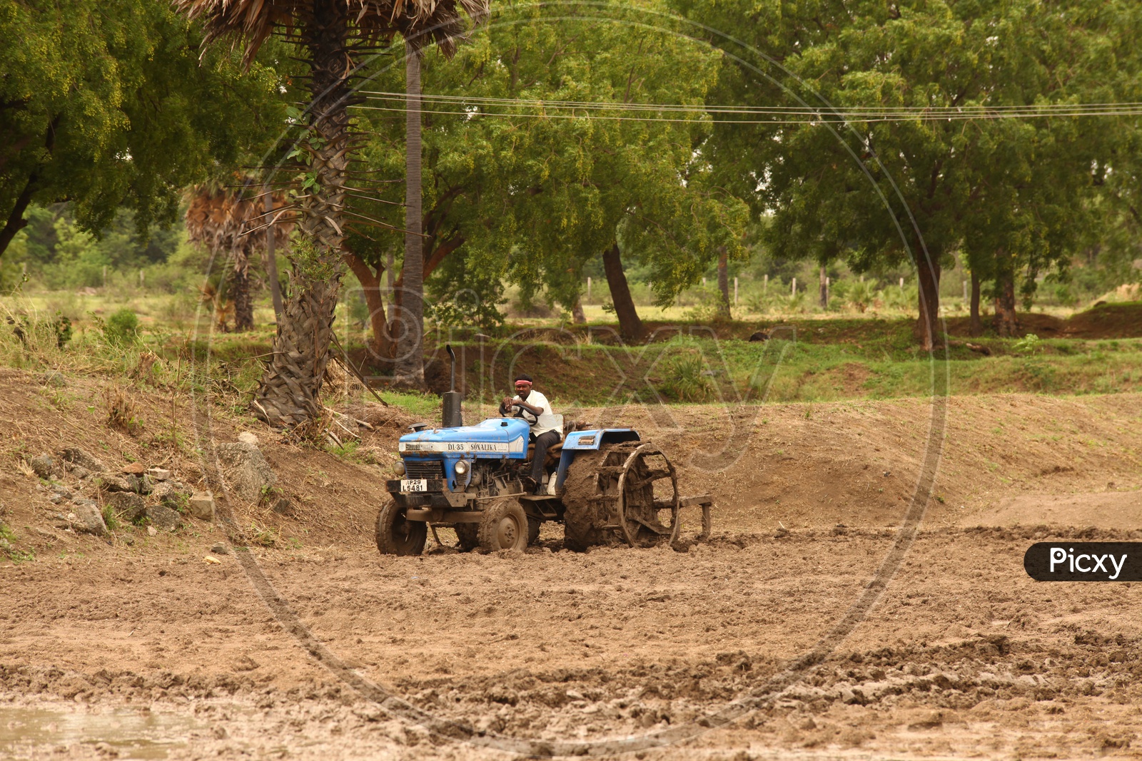 Indian Man With Tractor in an Agricultural Field