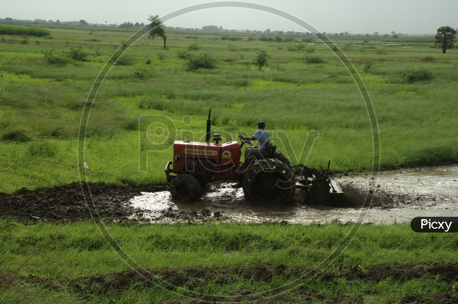 Indian Man  Ploughing With a Tractor In indian Fields