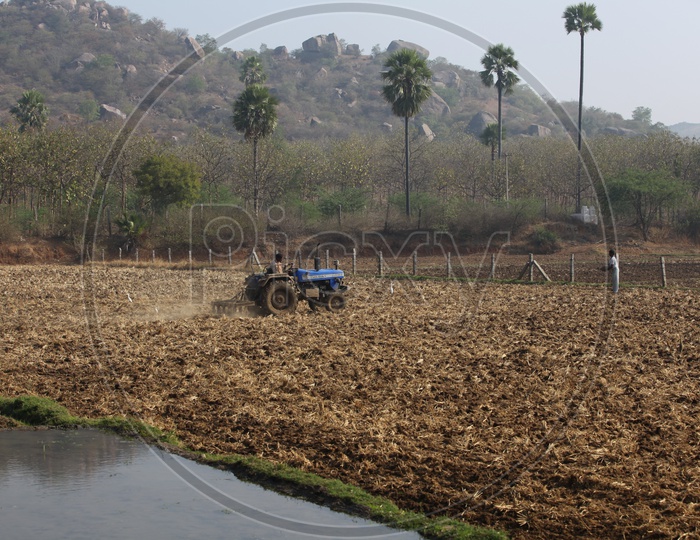 Indian Farmers Ploughing  The Field