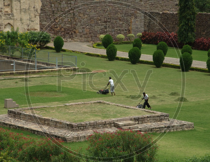 Indian Man Working In A Garden Trimming  The  Lawn Grass