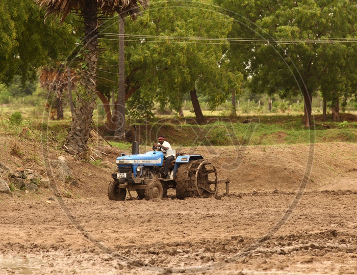 Indian Man With Tractor in an Agricultural Field