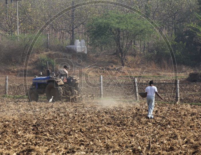 Indian Farmer Ploughing The Dry Field