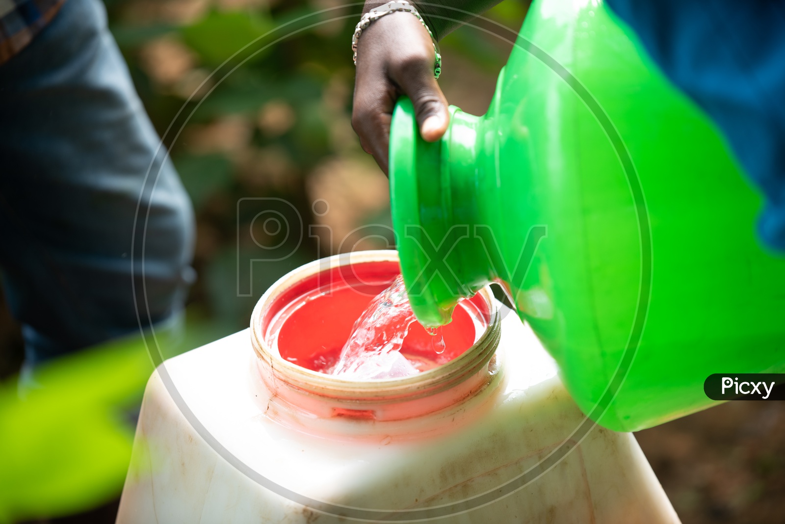 Farmer Mixing Pesticides In Sprayer Machine At a Cotton  Harvesting Filed