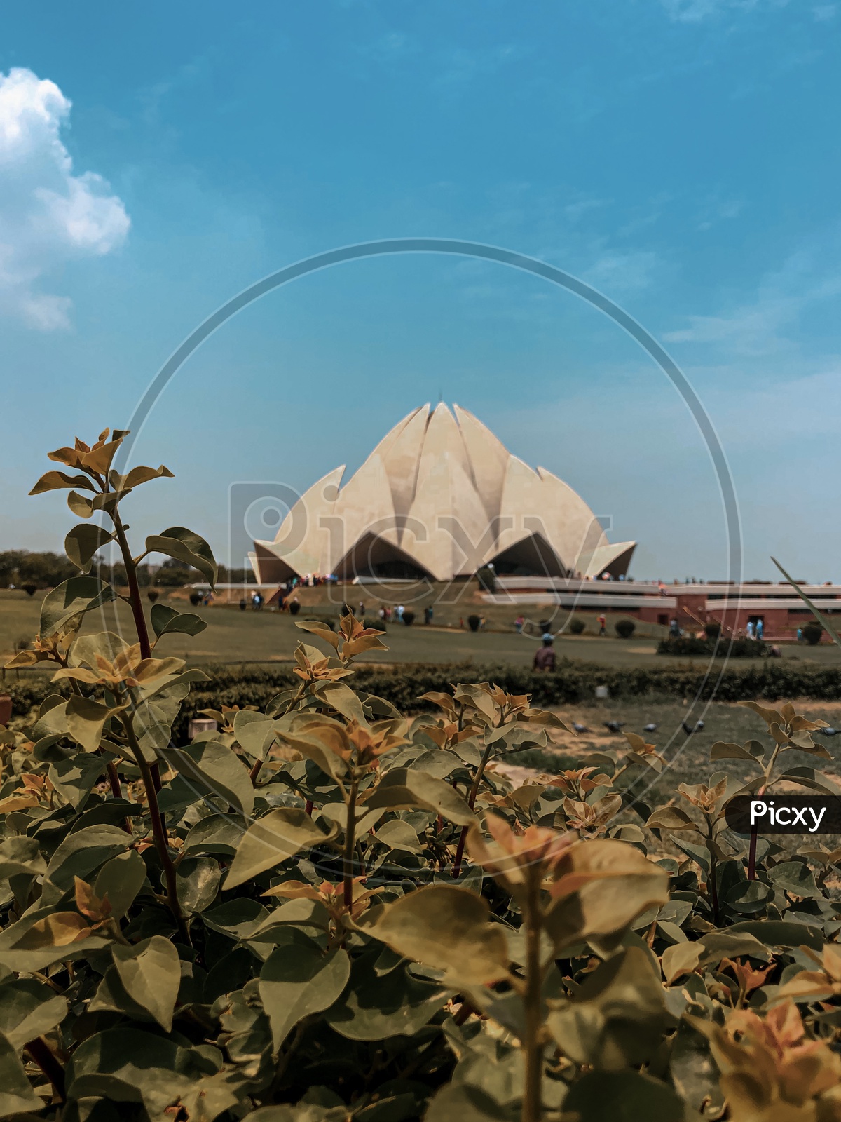 View of Lotus Temple