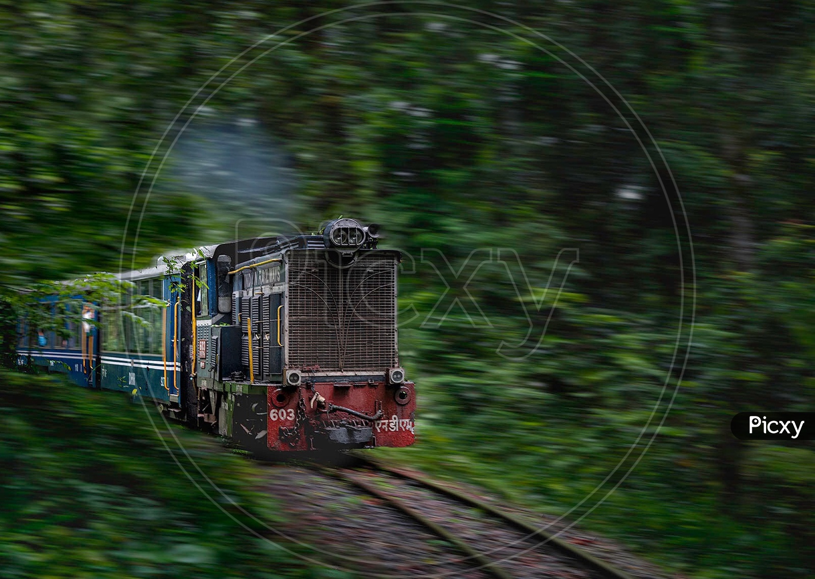 Himalayan toy train
