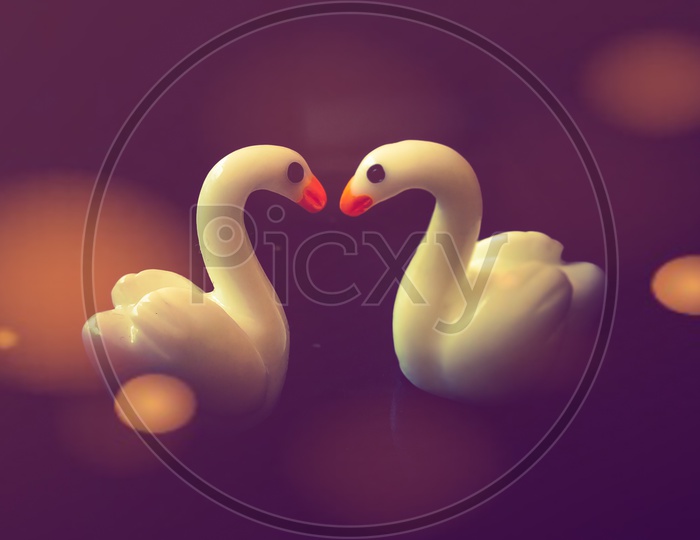 Swans- - Love