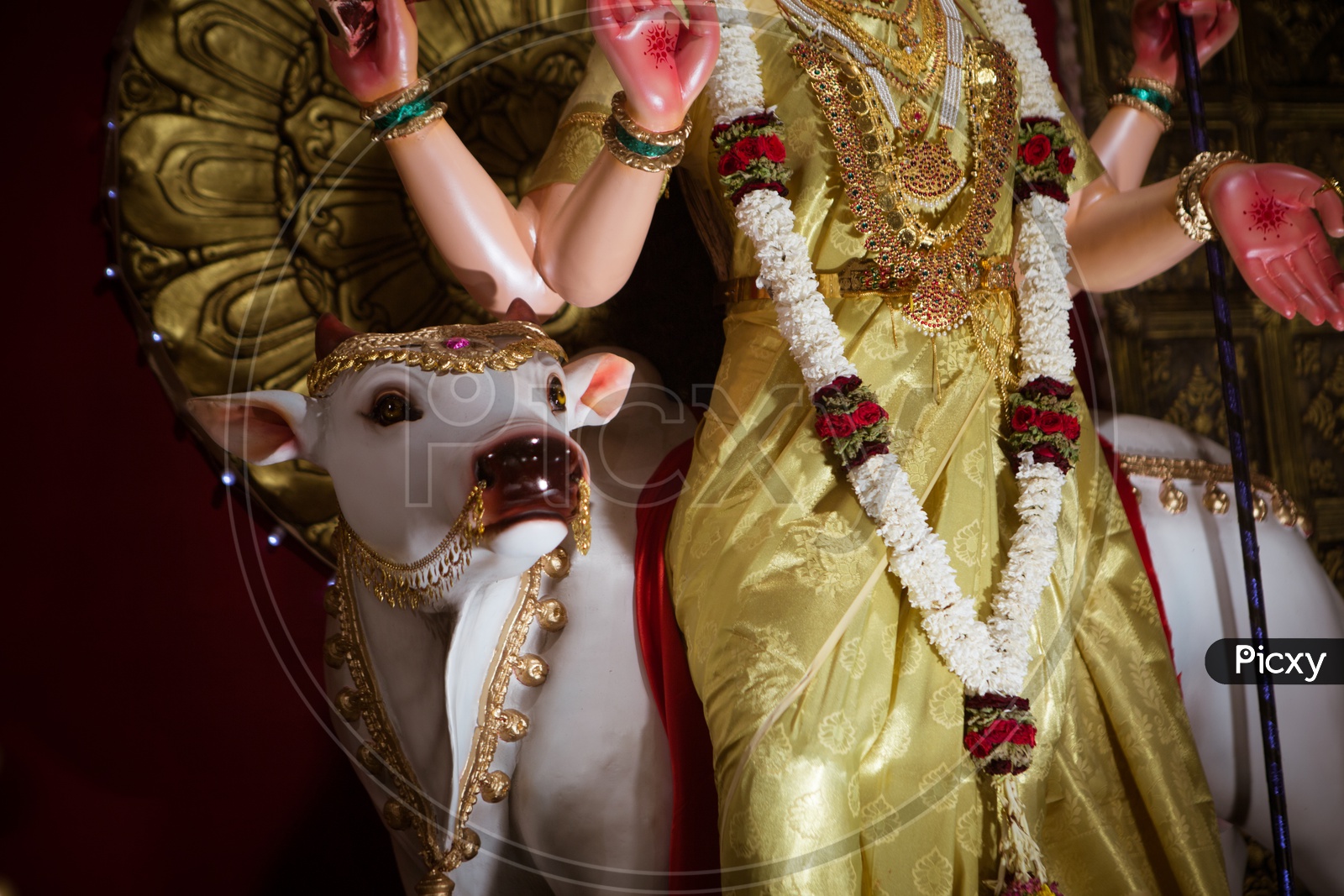Nava Durga-One of Durgas of Navarathri
