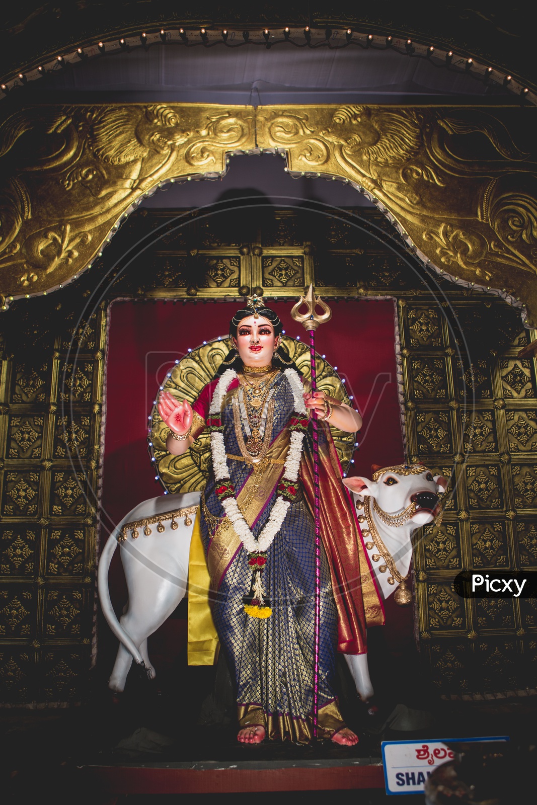 Image of Nava Durga-One of Durgas of Navarathri-WZ505676-Picxy