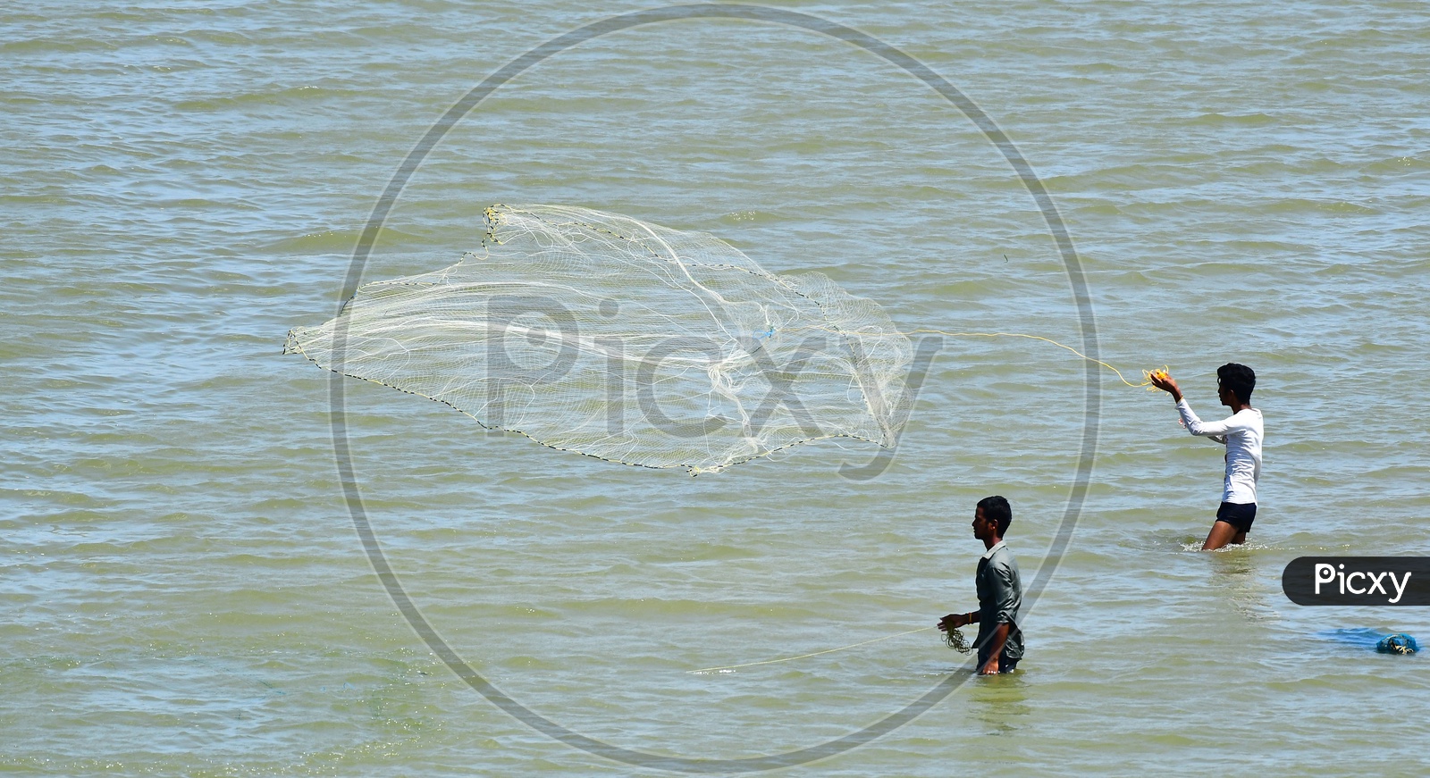 Fisherman Throwing Fishing Net In Krishna River  At Prakasham Barrage  In Vijayawada