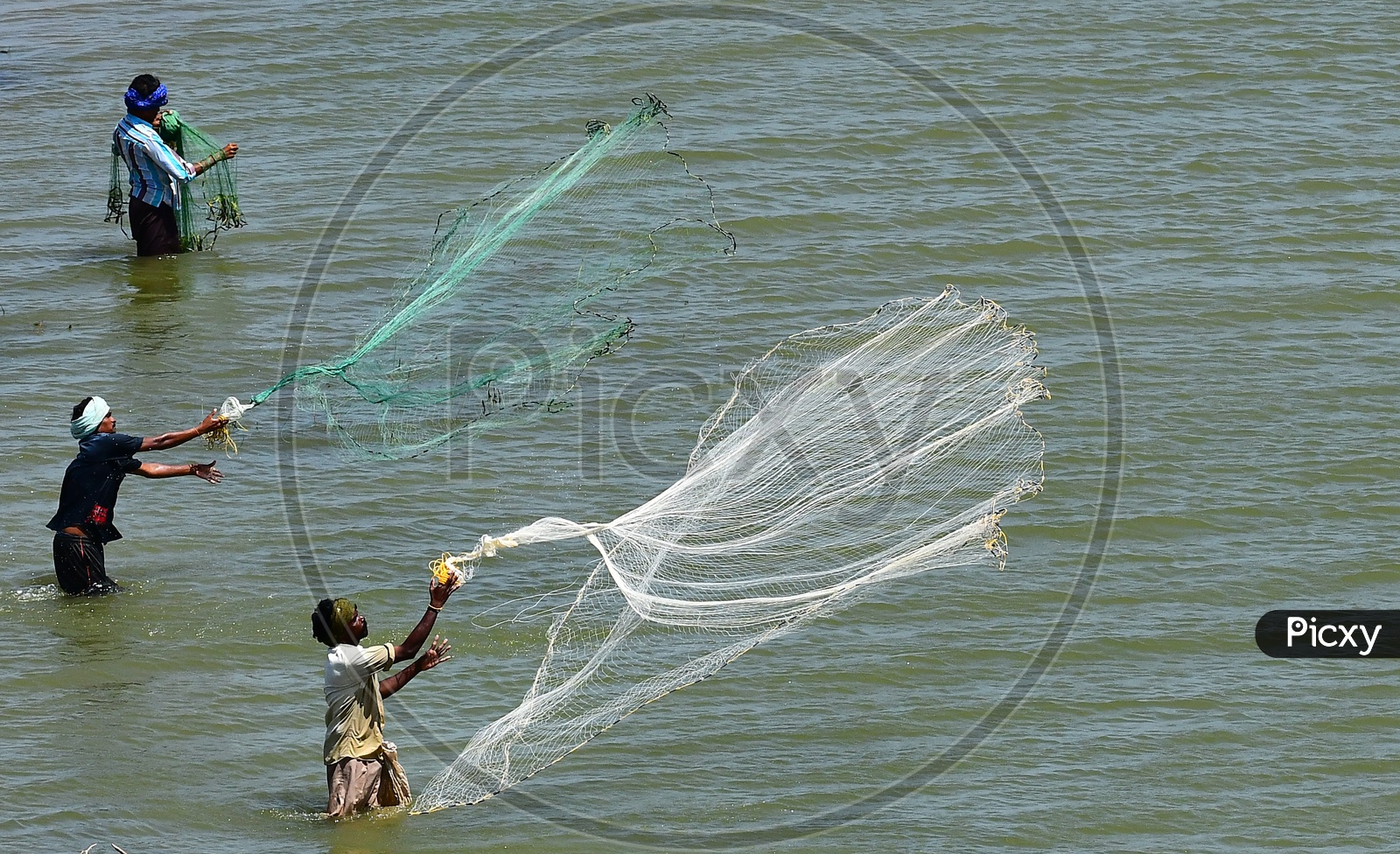 Image of Fisherman Throwing Fishing Nets into River Water For Fishing -UZ989574-Picxy