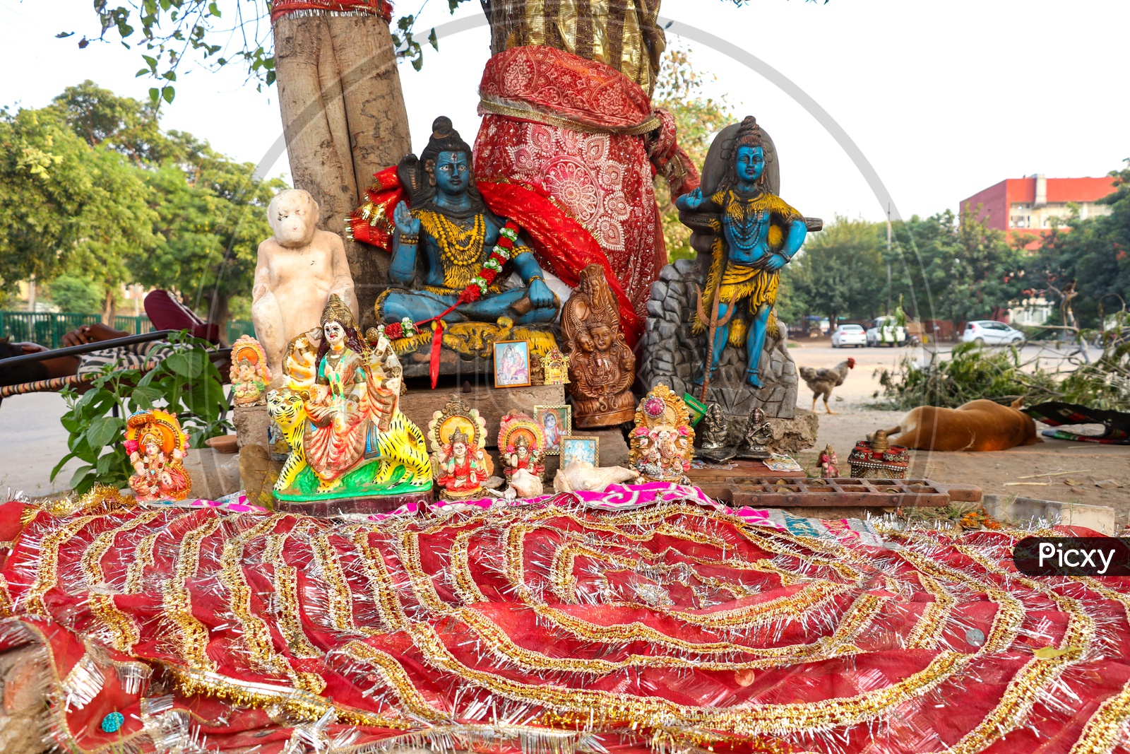 Indian Hindu God Idols at Banyan Tree Stem On Rod Side