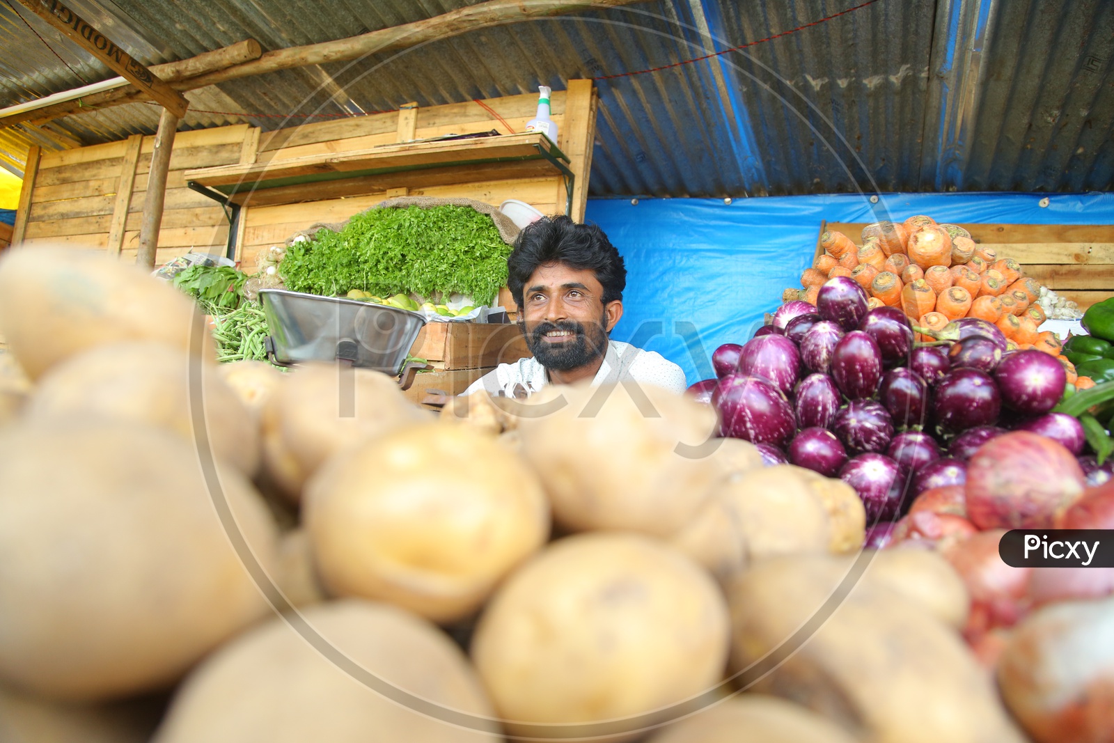 Vegetable Vendor In a vegetable Vendor Stall In a Market