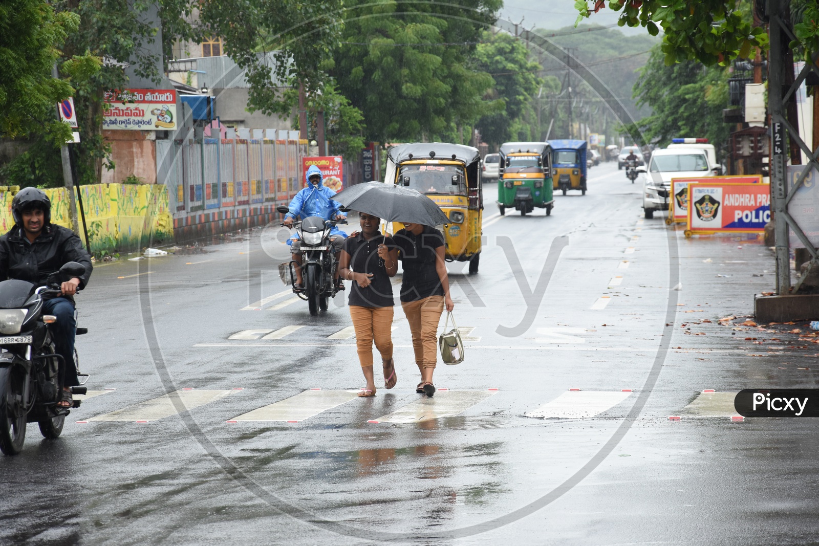 Indian Working Woman Walking In Rain With Umbrella