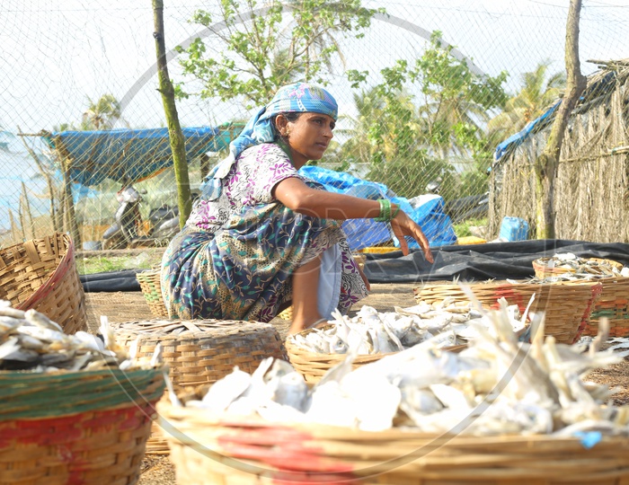 Woman Vendor Selling dried Fish In a Market