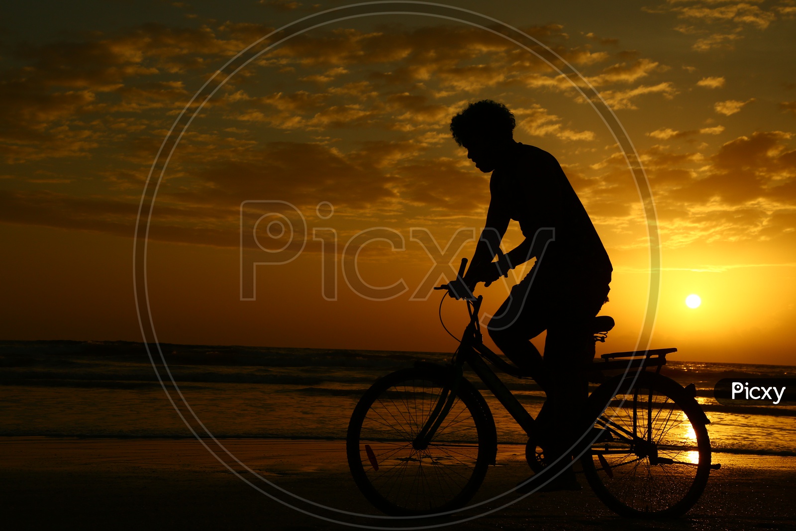 Silhouette Of Bicycle Rider In a Beach