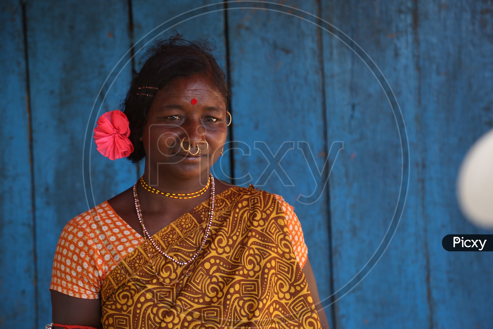 Portrait Of a Bonda tribal Woman In a Tribal Village Near Andhra Odisha Border