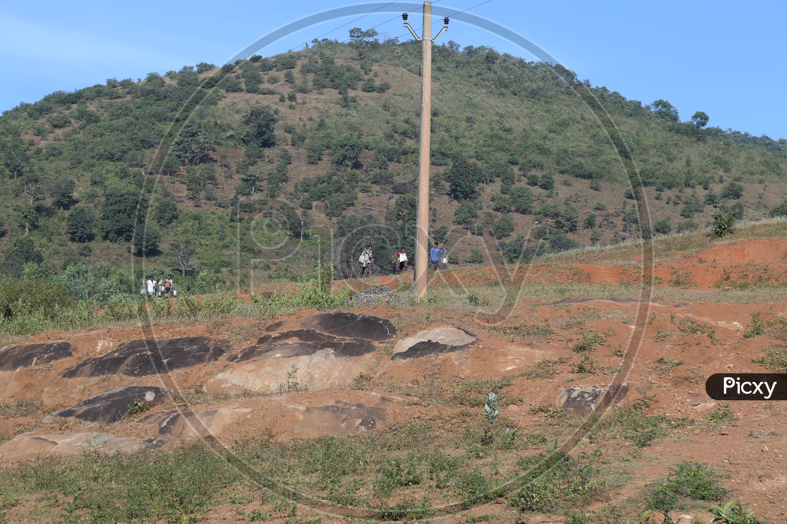 Electric Poles In tribal Village Agricultural Fields