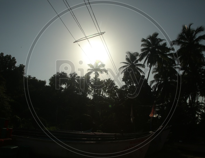 Silhouette Of Coconut Trees In a Beach Over Bright Sky