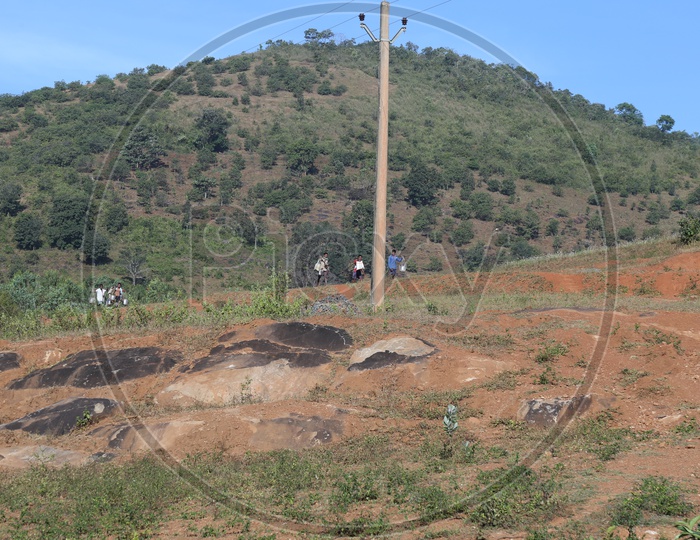 Electric Poles In tribal Village Agricultural Fields