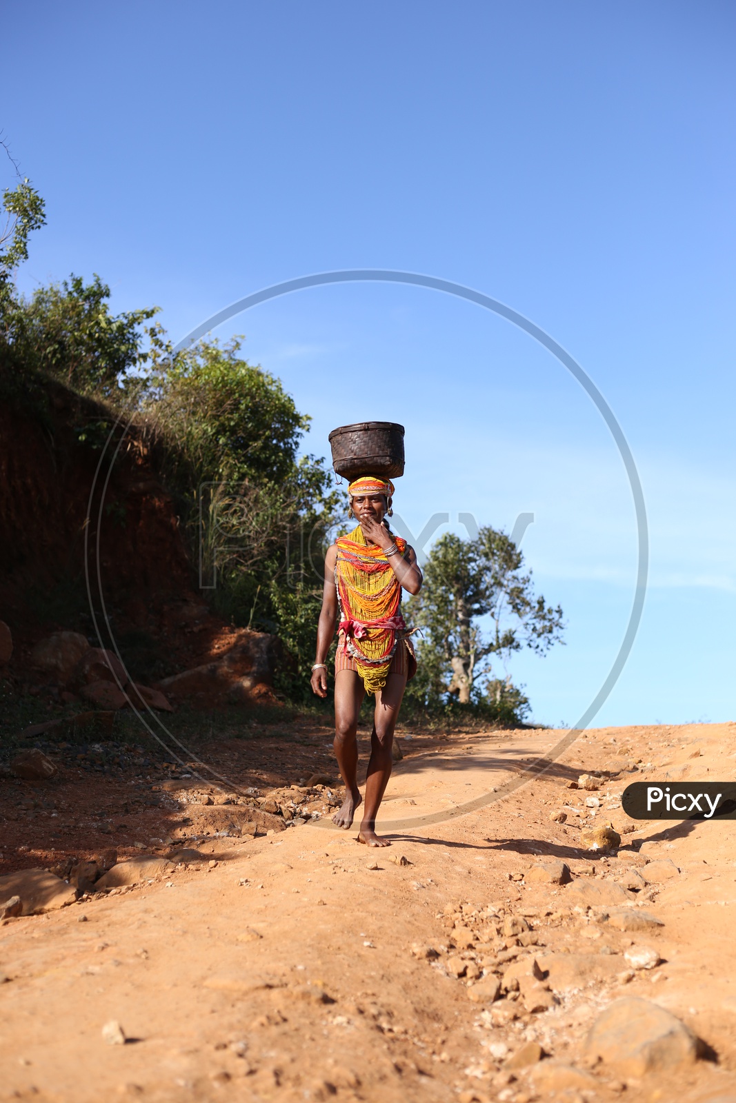 Bonda Tribal Woman Walking on Pathways to Agricultural Fields in Tribal Villages