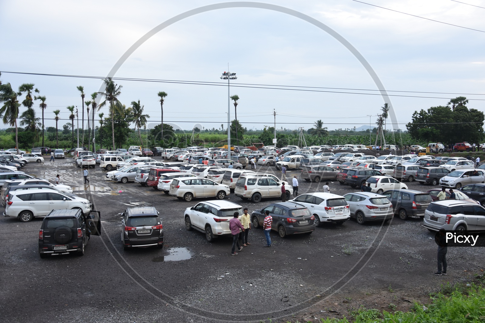 Cars Parked As a group At a Parking Lot