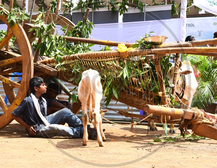 Children sitting under the shade of Bullock Cart