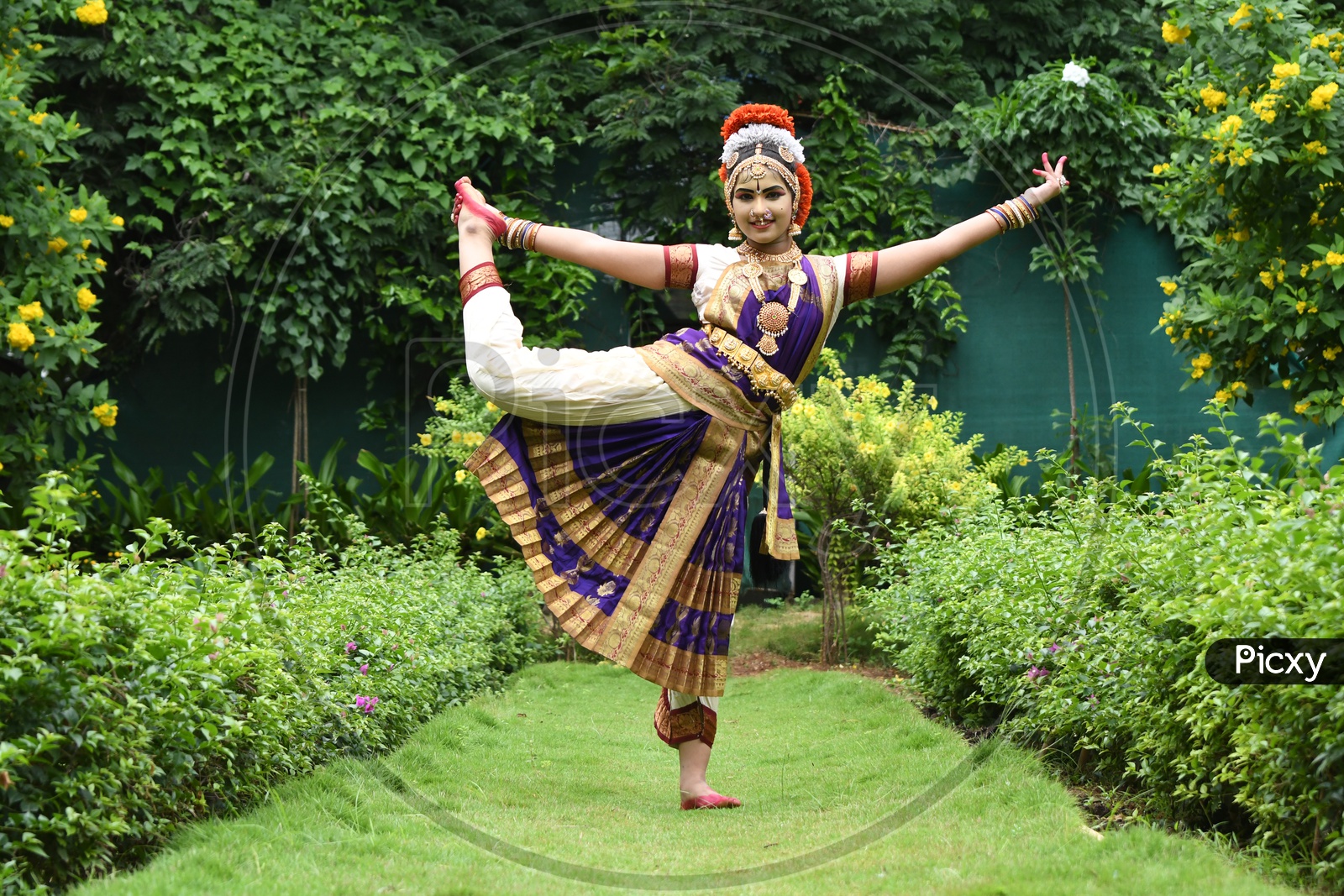 Premium Photo | Indian classical dance bharatanatyam dancer