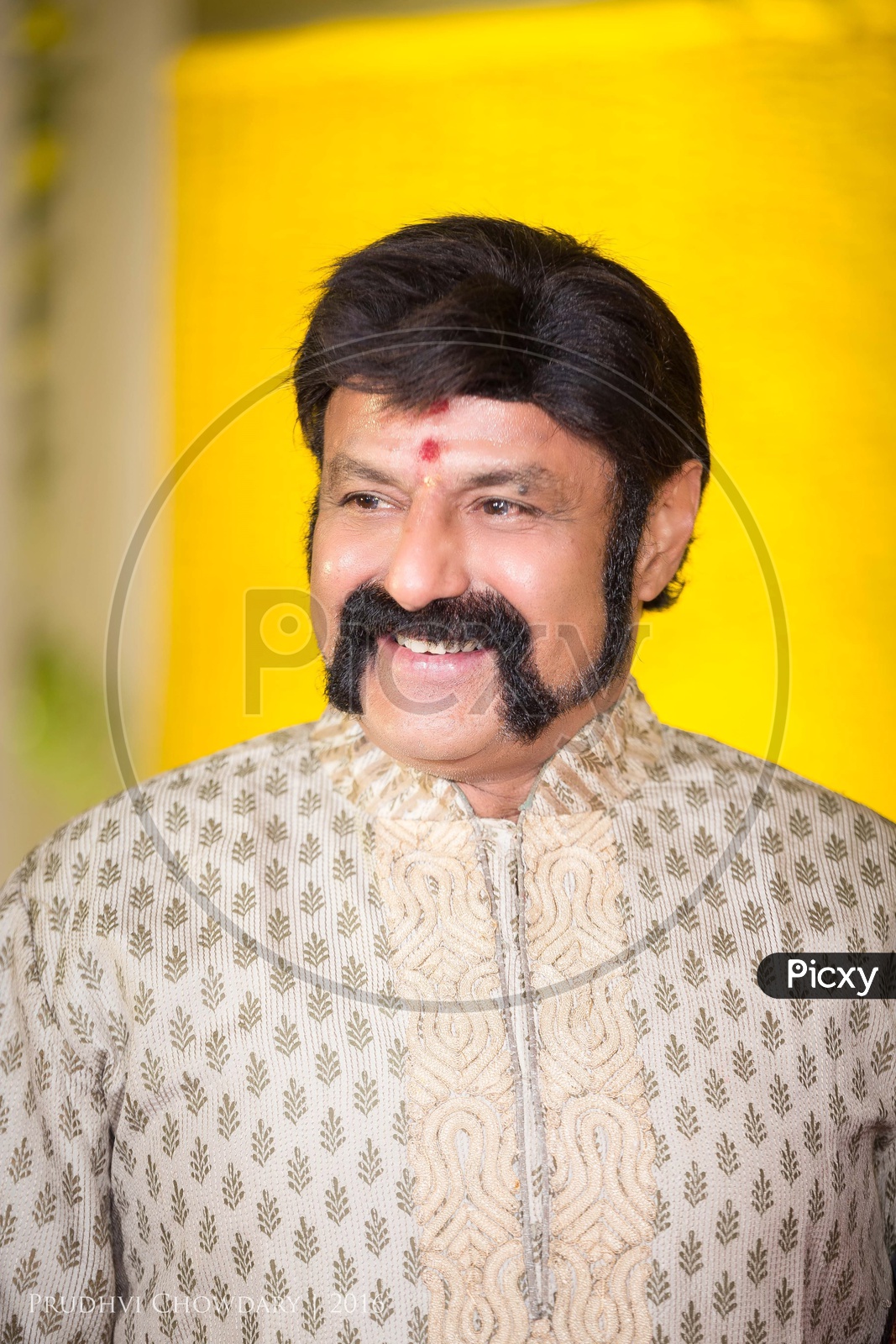 Nandamuri Bala Krishna , Actor Turned Politician