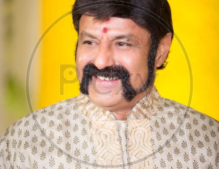 Nandamuri Bala Krishna , Actor Turned Politician