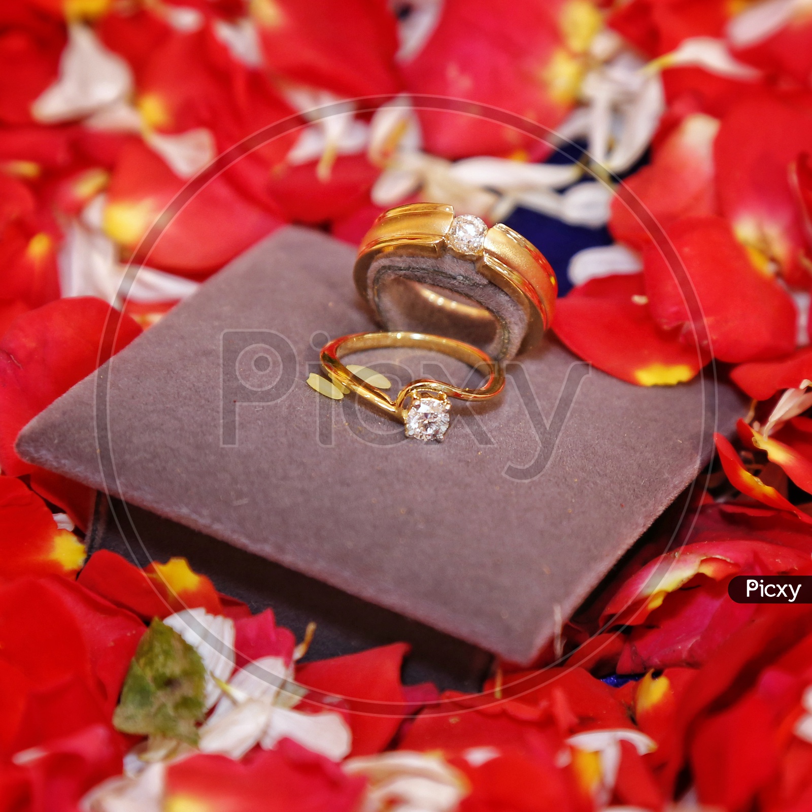 Ring Ceremony | Jyoti Weds Amit