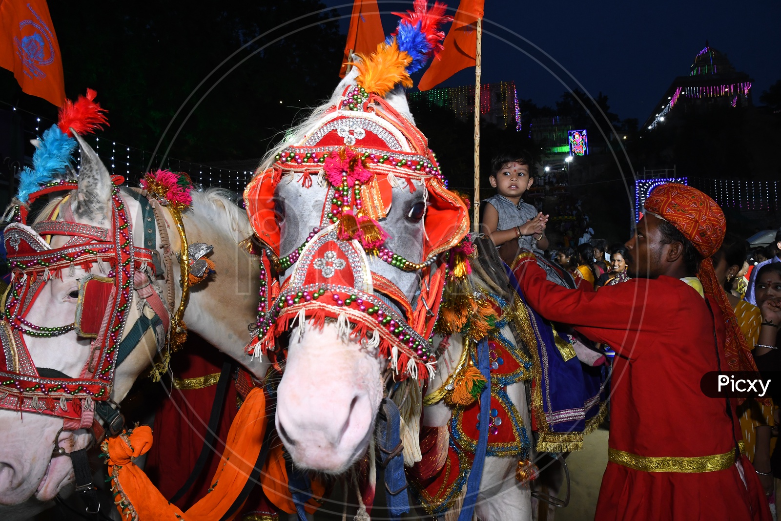 Decorated Horses At Hindu Goddess Kanaka Durga Procession